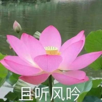 探访重庆礼嘉山城步道：勾连山水 惠民有感